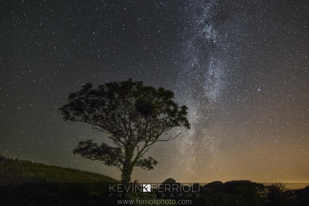 ©Kevin_Ferrioli_N00029150919